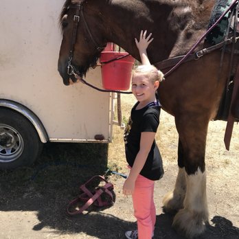 Covells Clydesdale Ranch - Getting ready to ride. Tara goes over the basics. - Horseback Riding Near Me - Cambria, California