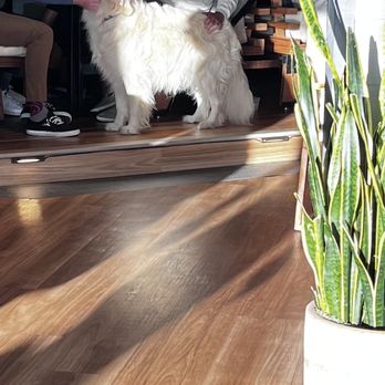 Monarch Ocean Pub - Gastropubs Near Me - Del Mar, California