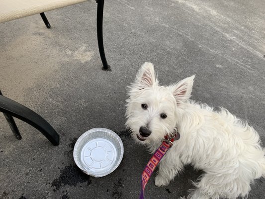 Savoy Taproom by null