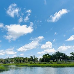 Elliotts Bluff Charter Company - Dungenous Ruins