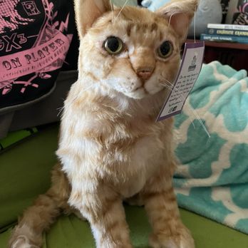Cuddle Clones - Full body - Pet Stores Near Me - Akron, Ohio