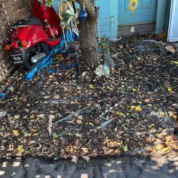 Fresh Start Cleaning - Lawn Services Near Me - Oakland, California Fresh Start Cleaning - Lawn Services Near Me - Oakland, California