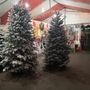 Photo of Santa’s Winter Forest