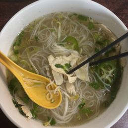 Noodle Noodle