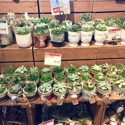 WHOLE FOODS MARKET - Updated June 2026 - 112 Photos & 85 Reviews - 3804  Oleander Dr, Wilmington, North Carolina - Grocery - Phone Number - Yelp