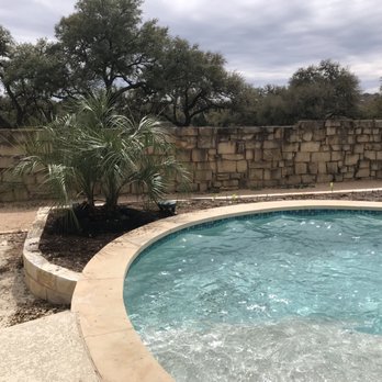 Moon Valley Nurseries - Pindo palm tree - Nurseries & Gardening Near Me - Austin, Texas