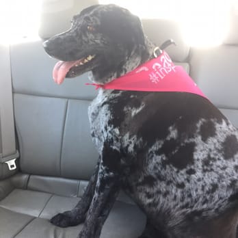 PetSmart - Pet Groomers Near Me - Foothill Ranch, California PetSmart - Pet Groomers Near Me - Foothill Ranch, California