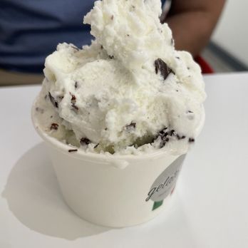 Gelato-go Orlando - Chocolate chip gelato - Gelato Near Me - Winter Park, Florida Gelato-go Orlando - Chocolate chip gelato - Gelato Near Me - Winter Park, Florida