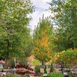 Moon Valley Nurseries - Moon Valley Nurseries in Peachtree City