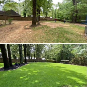 Bluff City Tree & Landscape - Sod installation - Landscaping Near Me Bluff City Tree & Landscape - Sod installation - Landscaping Near Me
