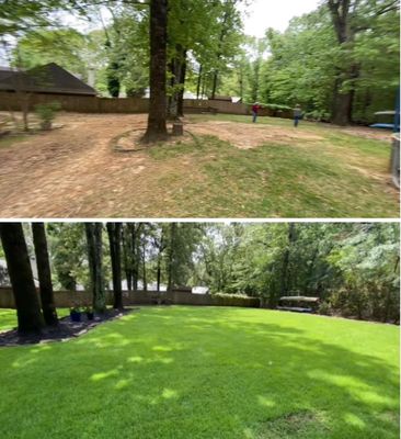 Sod Installation, Tree Trimming/Removal, Hardscape, Tree Planting and More! - Removed existing turf, prepared a level base then laid 6 pallets of zoysia sod.