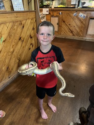 Gator Country by null