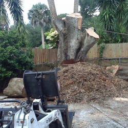Bam Tree Service