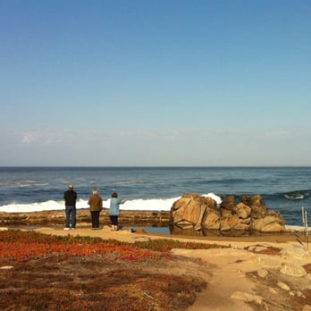 Asilomar State Beach - Lover's Point/Asilomar State Beach/Pacific Grove, CA - Parks Near Me - Pacific Grove, California Asilomar State Beach - Lover's Point/Asilomar State Beach/Pacific Grove, CA - Parks Near Me - Pacific Grove, California