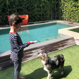 My 6 year old can now have our dog sit, lay, and stay thanks to Kristin!