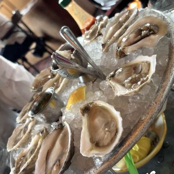 La Lucha - Oysters - Seafood Near Me - Houston, Texas La Lucha - Oysters - Seafood Near Me - Houston, Texas