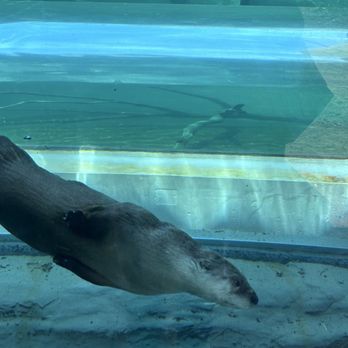 Zoo Ecomuseum - Zoos Near Me - Sainte-Anne-de-Bellevue, Quebec