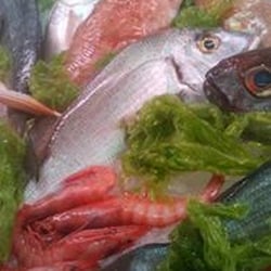 Ittica Mare - Banco pesce