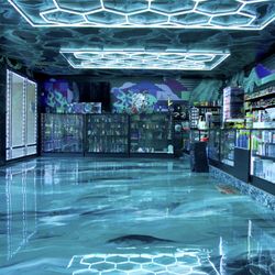 El Camino smokeshop - A look inside El Camino Smoke Shop -- clean glass displays filled with vapes, hookahs, and smoking accessories.