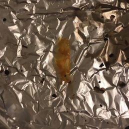 Piece of plastic in the Chicken Tikka Masala Piece of plastic in the Chicken Tikka Masala