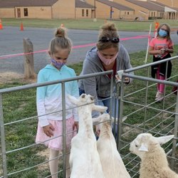 D & D Pony Rides/Petting Zoo - Petting zoo at Emmitsburg National Night Out