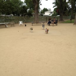Doggies playing in the small dogs section! Doggies playing in the small dogs section!