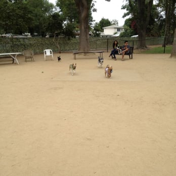 Uptown Dog Park - Doggies playing in the small dogs section! - Dog Parks Near Me - Long Beach, California Uptown Dog Park - Doggies playing in the small dogs section! - Dog Parks Near Me - Long Beach, California