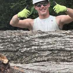 Anytime Arbor Care
