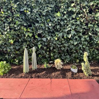 Miguel's Gardening Service - More fantastic work - Landscaping Near Me Miguel's Gardening Service - More fantastic work - Landscaping Near Me