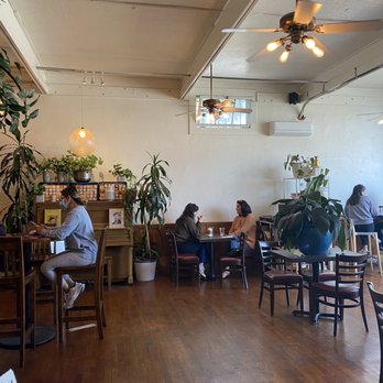 Lost Parrot Cafe - Indoor seating - Breakfast & Brunch Near Me - South Pasadena, California Lost Parrot Cafe - Indoor seating - Breakfast & Brunch Near Me - South Pasadena, California