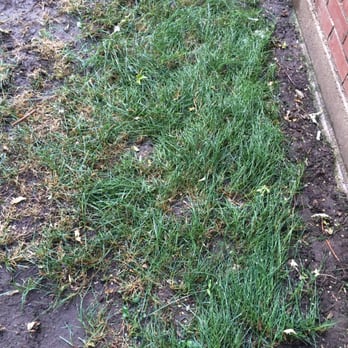 Mr.Plow - Neglected area of grass - Snow Removal Near Me