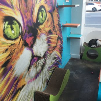 Santé D'Or - Beautiful painting in the front sunroom area! - Animal Shelters Near Me - Los Angeles, California Santé D'Or - Beautiful painting in the front sunroom area! - Animal Shelters Near Me - Los Angeles, California