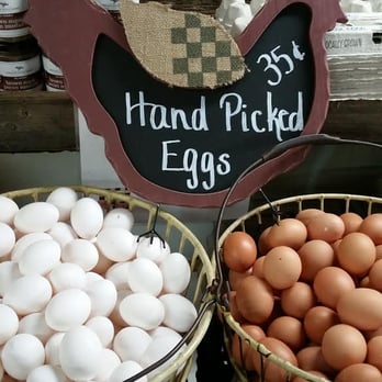 Abma's Farm - Abma's own chicken eggs - Farmers Market Near Me - Wyckoff, New Jersey Abma's Farm - Abma's own chicken eggs - Farmers Market Near Me - Wyckoff, New Jersey