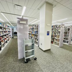 Hillman Library - Stacks of books
