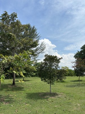 Changi Beach Park by null