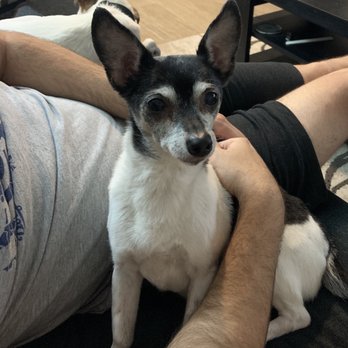 TrueCare for pets - Thank you, for caring for my child in her final moments - Veterinarians Near Me - Studio City, California TrueCare for pets - Thank you, for caring for my child in her final moments - Veterinarians Near Me - Studio City, California