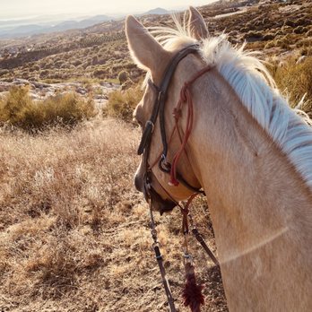 Rancho Bravo - Horseback Riding Near Me - Hemet, California