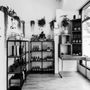 Sunset Plaza Salon
