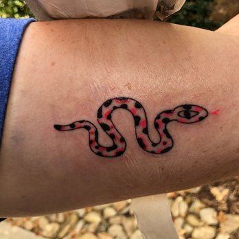 Zen Ink - Snek sale! - Piercing Near Me - Asheville, North Carolina Zen Ink - Snek sale! - Piercing Near Me - Asheville, North Carolina