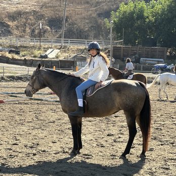 Apple Creek Farms - Horseback Riding Near Me - Castro Valley, California Apple Creek Farms - Horseback Riding Near Me - Castro Valley, California
