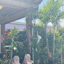 Fannin Flowers