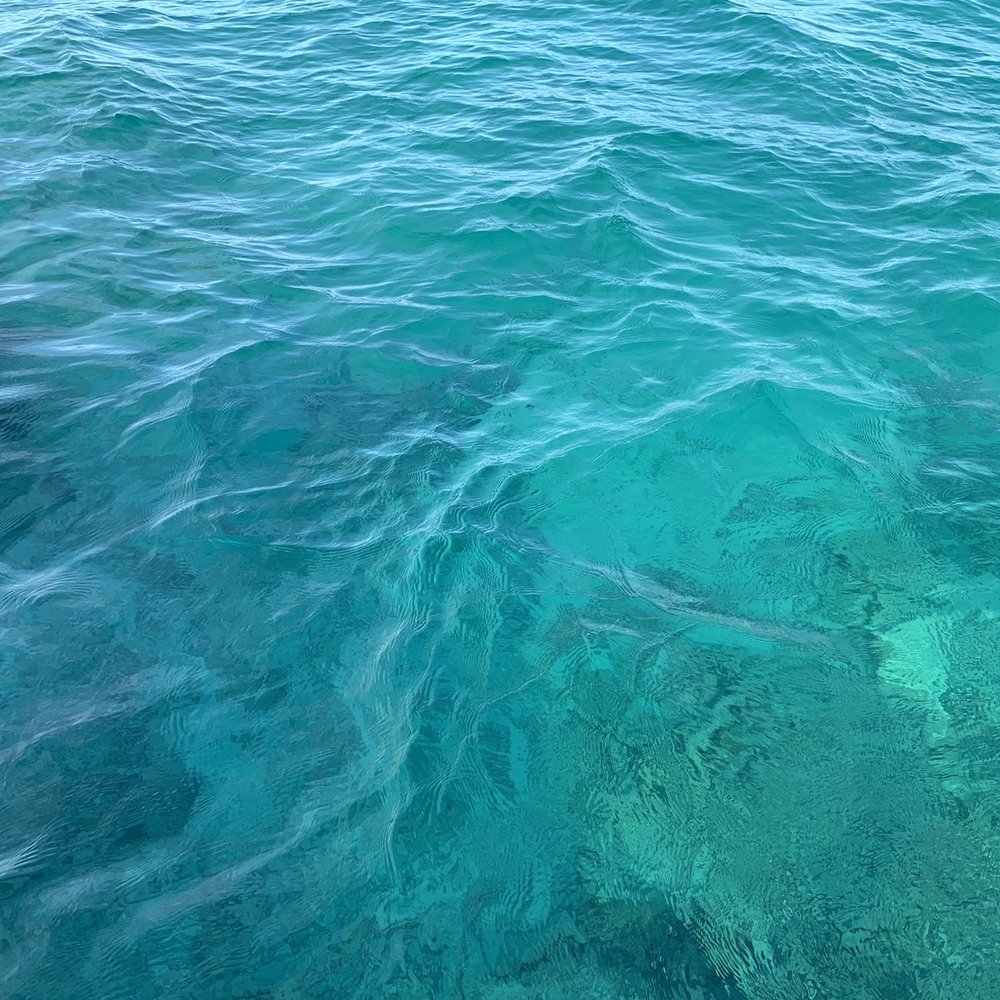 Allergic To Land Charters - Snorkeling Near Me - Islamorada, Florida