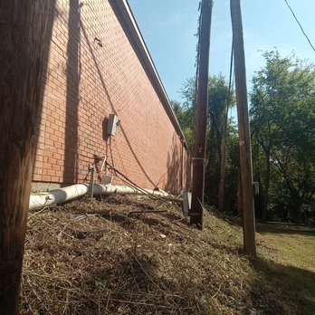 S&A Tree Service - Tree Services Near Me - Gladewater, Texas S&A Tree Service - Tree Services Near Me - Gladewater, Texas