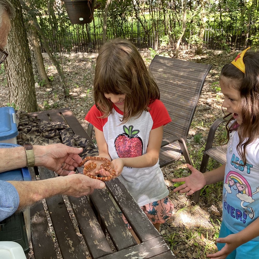 Learn Nature and Party Animals - Holding a snake - Party & Event Planning Near Me - San Antonio, Texas
