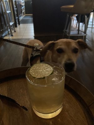 Old Kentucky Bourbon Bar by null