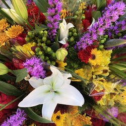 Sanibel Island Farmers Market