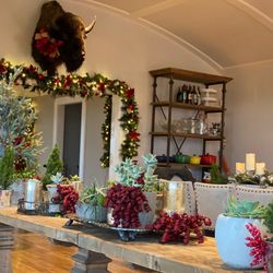 Home & Holiday Designs
