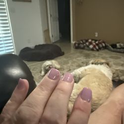 Nail Candy - Love my nails