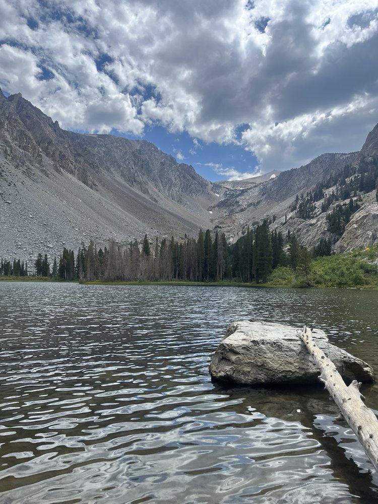 Yost Creek - Fern Lake Trailhead Logo