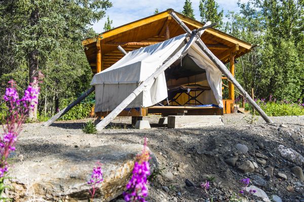 Denali Hostel & Cabins by null